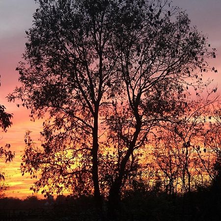 Leggatts Farm Bed & Breakfast Debden ภายนอก รูปภาพ